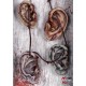 Réplica Collar de Orejas Daryl Dixon Walking Dead